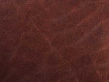 Primavera brown 02