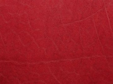 Primavera red 11